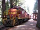 Skunk Train
