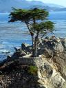 17 Mile Drive